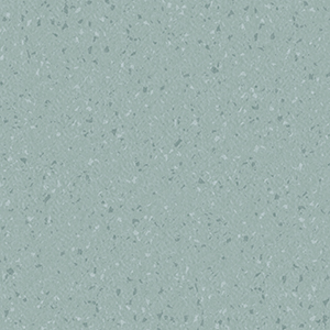 5128_Delphinus